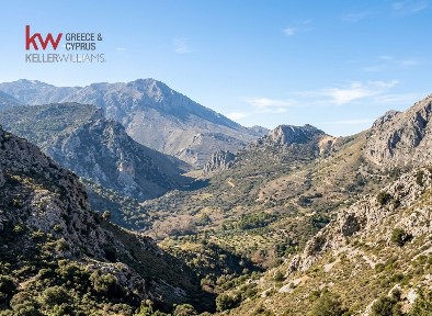 Συγκρότημα διαμερισμάτων, 355τ. μ.