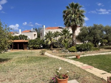 Συγκρότημα διαμερισμάτων, 443τ. μ.