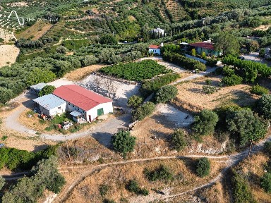 Φάρμα / Ράντσο, 370τ. μ.