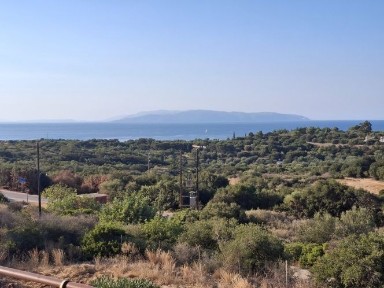 Λειβαθώ, Κεφαλονιά (Ν. Κεφαλονιάς), Λειβαθώς