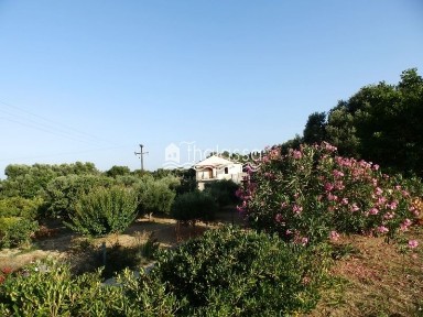 Λειβαθώ, Κεφαλονιά (Ν. Κεφαλονιάς)