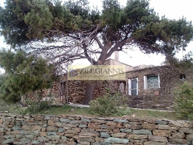 Μακροτάνταλο, Άνδρος (Κυκλάδες)
