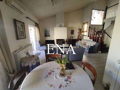 Κέντρο, Νέα Χαλκηδόνα (Αθήνα - Δυτικά Προάστια)
