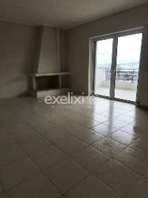 Πεύκα Βέρδη, Πετρούπολη (Αθήνα - Δυτικά Προάστια)