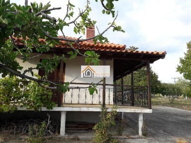 Μονοκατοικία, 50τ. μ.