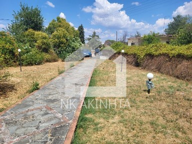 Κέντρο, Γαλλικός (Ν. Κιλκίς)