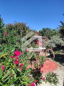 Κέντρο, Μουριές (Ν. Κιλκίς)