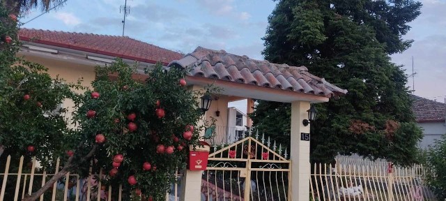 Μονοκατοικία, 311τ. μ.