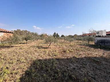 Άσπρος, Πολύκαστρο (Ν. Κιλκίς)