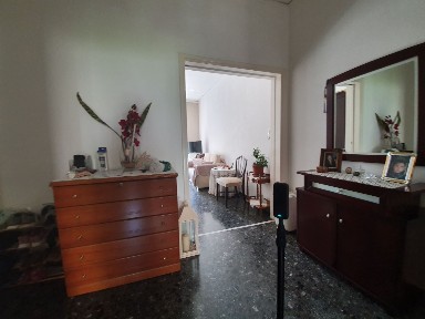 Ριμινιτών, Ίλιον (Αθήνα - Δυτικά Προάστια), Ψαρών 10, Ίλιον 13122