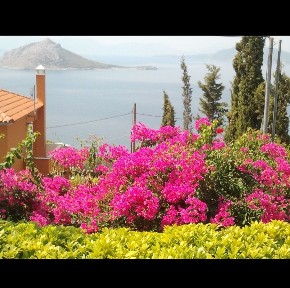 Αιγηνίτισσα, Αίγινα (Νησιά Αργοσαρωνικού), Δεξαμενής, 180 10 Αίγινα