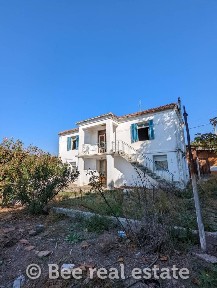 Πέλλα (Πέλλα)