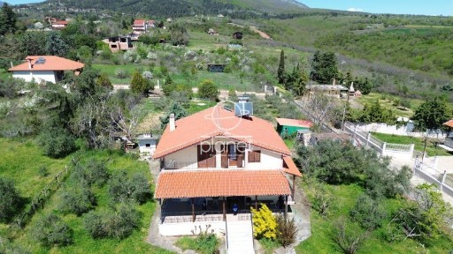 Ελευθεροχώρι, Γιαννιτσά (Πέλλα)