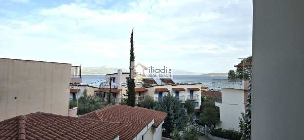 Τολό, Ασίνη (Αργολίδα), Ασίνη