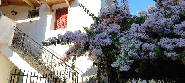 ΚακόΒάτος, Ζαχάρω (Ηλεία), Ηλεία, Ζαχάρω