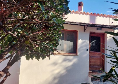 Ομηρούπολη, Χίος (Ν. Χίου), Βενιζέλου Ελευθερίου