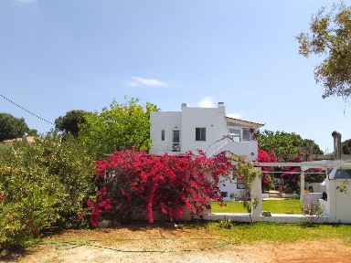 Ζούμπερι, Νέα Μάκρη (Αθήνα - Ανατολικά Προάστια), Ποσειδώνος, 190 05 Νέα Μάκρη