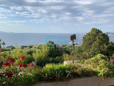 Δικαστικά, Μαραθώνας (Αθήνα - Ανατολικά Προάστια)