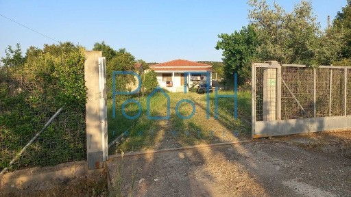 Ασκητές, Μαρώνεια (Ν. Ροδόπης)