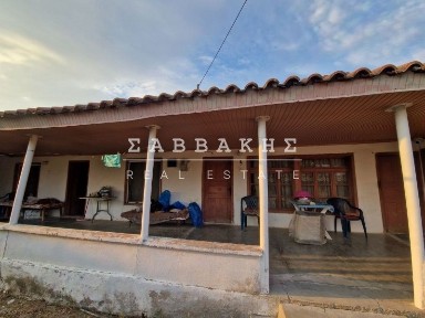 Λύκειο, Αρριανά (Ν. Ροδόπης), Λυκείου-Σαπών, 693 00, Αρριανά