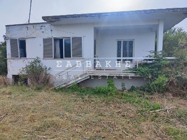 Πρωτάτο, Σάπες (Ν. Ροδόπης)