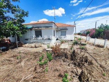 Μονοκατοικία, 100τ. μ.