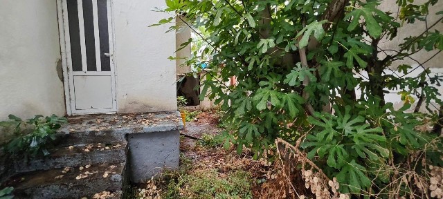 Σάπες (Ν. Ροδόπης)
