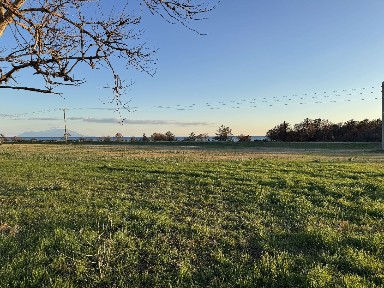 Προφήτης Ηλίας, Μαρώνεια (Ν. Ροδόπης), Μαρωνείας, Μαρώνεια-Σάπες 69400