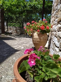 Λιμενάρια, Θάσος (Ν. Καβάλας), Διάκου Αθανασίου, 640 02 Θάσος