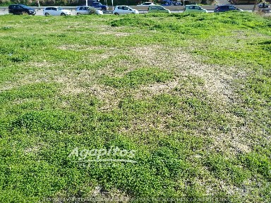 Εσταυρωμένος, Ηράκλειο Κρήτης (Ν. Ηρακλείου), Λεωφόρος Παρλαμά Μενελάου, Ηράκλειο 71500