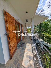 Κέντρο, Αμάρυνθος (Εύβοια)