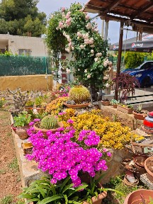 Μαλακώντα, Ερέτρια (Εύβοια), Εύβοια, Ερέτρια