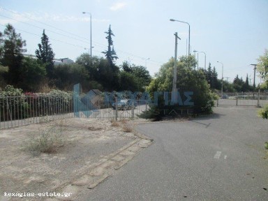 Κατάστημα, 537τ. μ.
