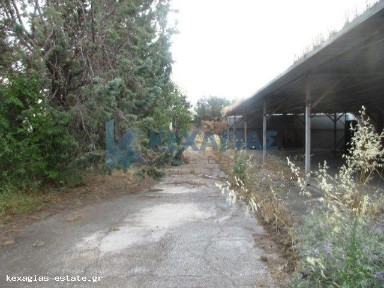 Επέκταση Θέρμης, Θέρμη (Θεσσαλονίκη - Περιφ/κοί δήμοι), Α24, Θέρμη 57000