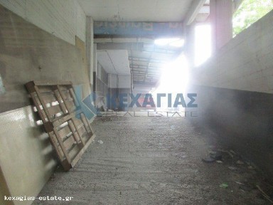 Λυγαριά, Πυλαία (Θεσσαλονίκη - Περιφ/κοί δήμοι), Απόλλωνος, Πυλαία-Χορτιάτης 55536