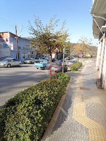Άγιος Αντώνιος, Βέροια (Ημαθία)