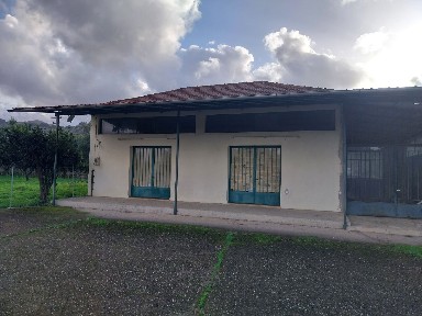 Κατάστημα, 130τ. μ.