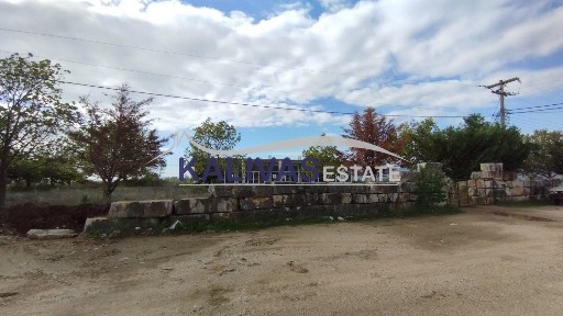 Κατάστημα, 420τ. μ.