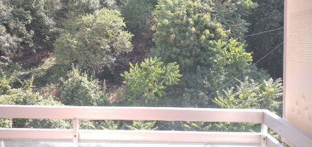 Κέντρο, Ιωάννινα (Ν. Ιωαννίνων), Δεξαμενής 14, Ιωάννινα 45333