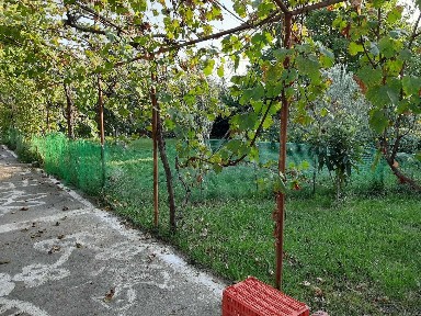 Μονοκατοικία, 50τ. μ.