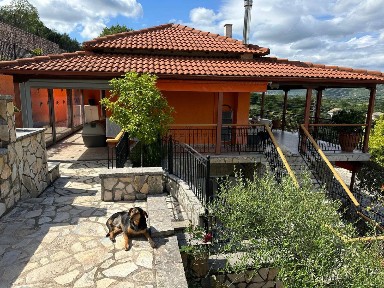 Αμπελιά, Εγνατίας (Ν. Ιωαννίνων)