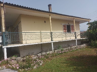 Χρυσή, Εξαπλάτανος (Πέλλα), Ομόνοιας, Χρυσή 58400
