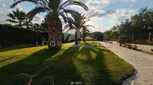 Άγιος Μηνάς, Ανθηδώνος (Εύβοια)