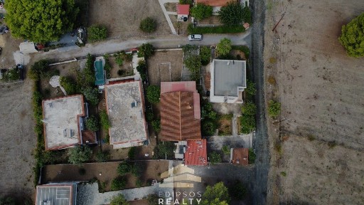 Βασιλίνα, Λιχάδα (Εύβοια)