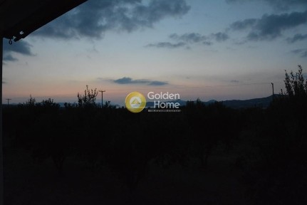 Συγκρότημα διαμερισμάτων, 440τ. μ.