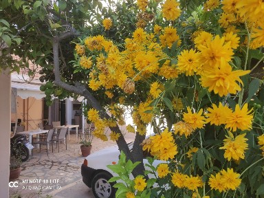 Περιοχη χώρας, Λευκάδα (Ν. Λευκάδας), Καραβέλλα 33, Λευκάδα 31100