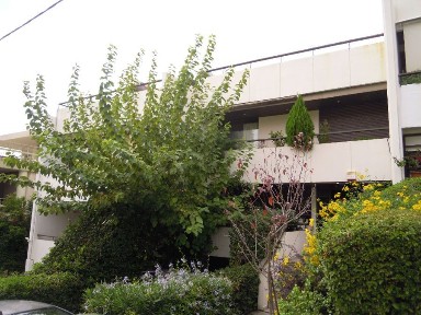 Κεφαλάρι, Κηφισιά (Αθήνα - Βόρεια Προάστια), ΚΕΦΑΛΑΡΙ ΣΥΝΟΡΑ ΠΟΛΙΤΕΙΑ