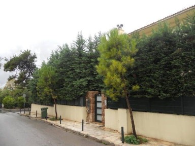 Κεφαλάρι, Κηφισιά (Αθήνα - Βόρεια Προάστια)