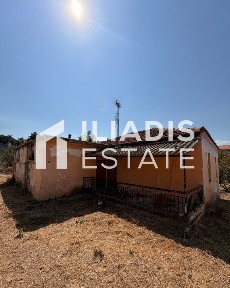 Ίβηρα, Τράγιλος (Ν. Σέρρες)