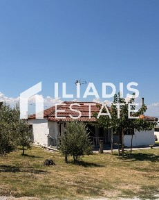 Κέντρο, Αχινός (Ν. Σέρρες)